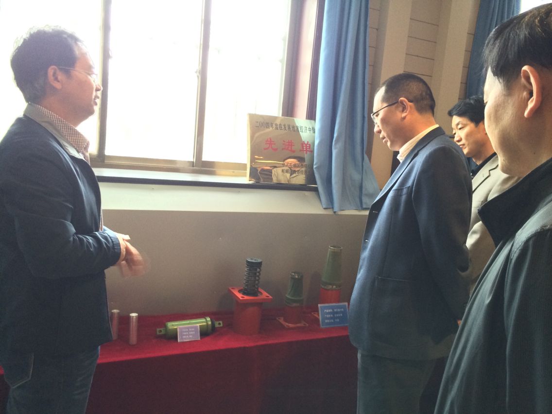 平凉市市委副书记、市长臧秋华一行到公司调研考察