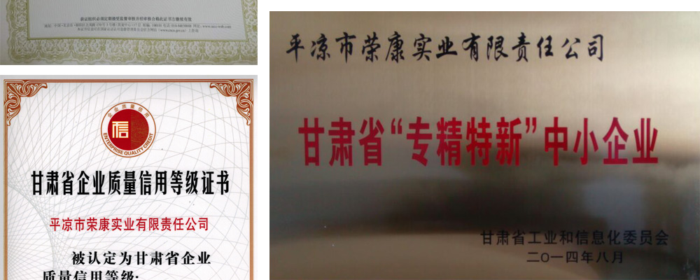 高新技术企业