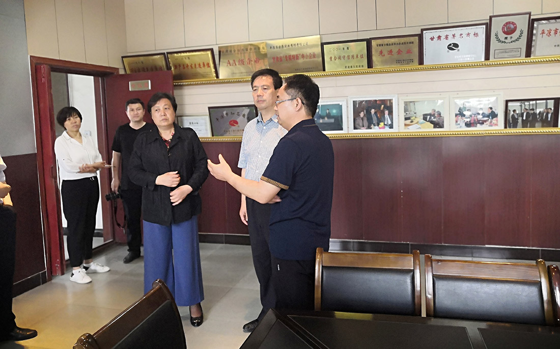 省委军民融合办主任及市纪委书记检查指导工作